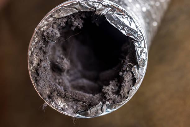 Best Best Air Duct Cleaning Company  in Point Of Rocks, MD